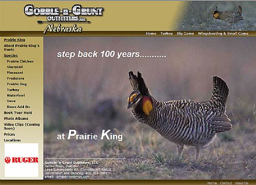 Prairie King's Page