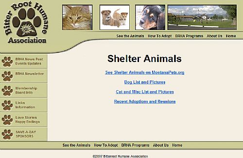Shelter Animals Page